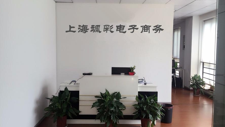 上海飒彩电子商务