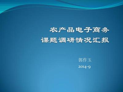 20140913 农产品电商发展研究